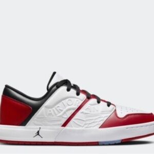 Nike Jordan Nu Retro Low Size 12